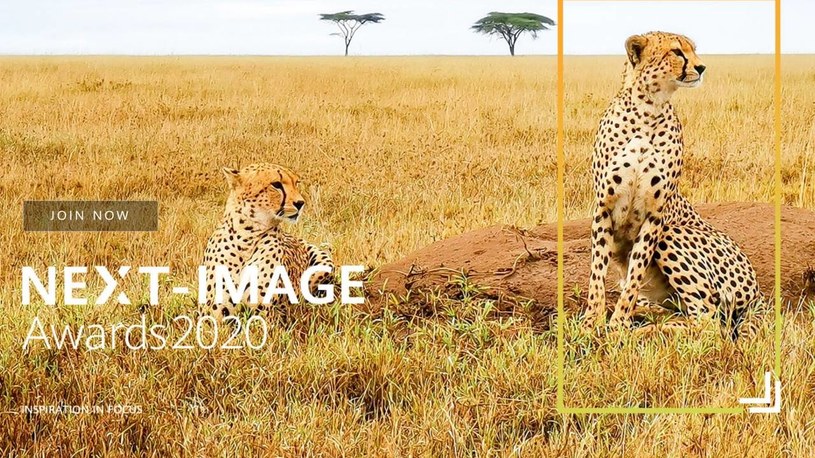 Huawei Next Image Awards 2020 /materiały prasowe