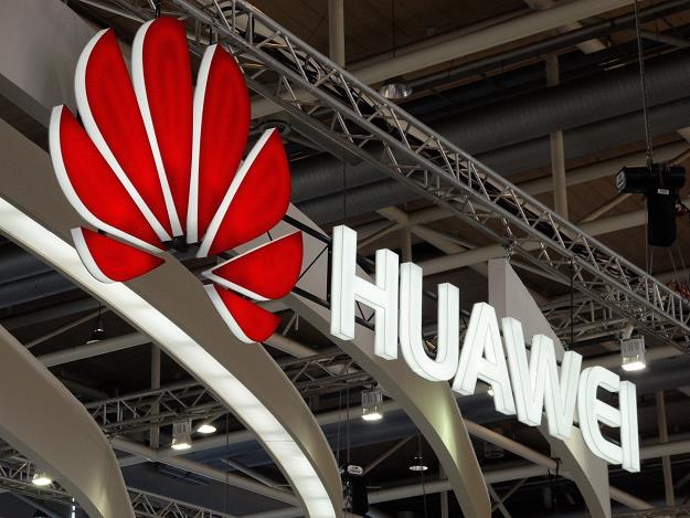 Huawei ukrył "tylne drzwi" w sieci jednego z telekomów /EPA