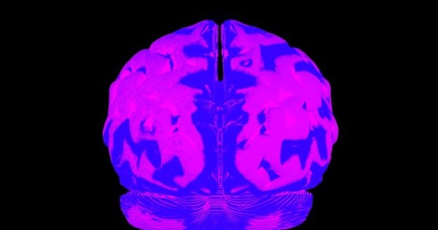 Human Brain Project zakłada stworzenie najdokładniejszej mapy ludzkiego mózgu /123RF/PICSEL