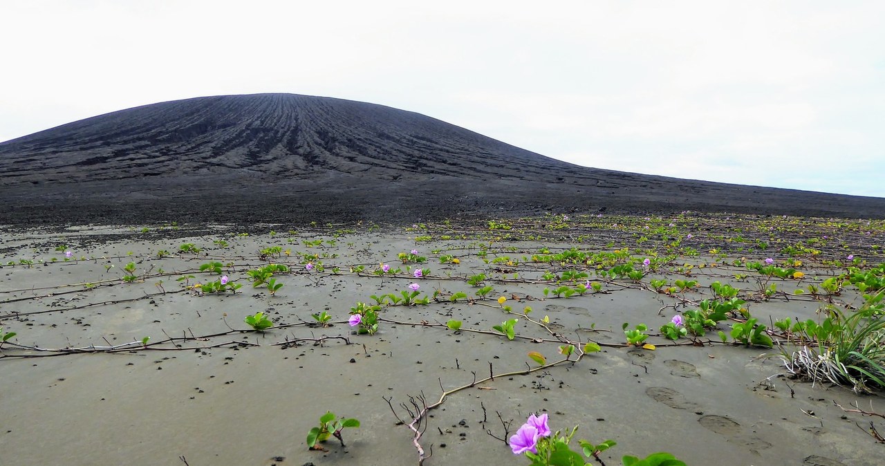 Hunga Tonga-Hunga Ha'apai /NASA