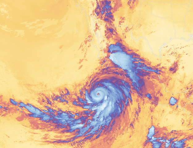 Huragan Hilary na zdjęciu satelitarnym wykonanym 18 sierpnia przez National Oceanic and Atmospheric Administration (NOAA), czyli amerykańską instytucję rządową, zajmująca się prognozowaniem pogody. /NOAA Satellites /