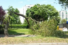 Huraganowy wiatr sieje spustoszenie w Polsce
