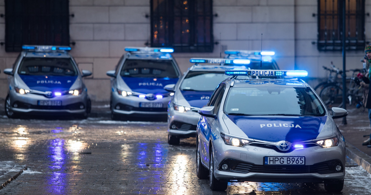 Hybrydowe Toyoty Auris chętnie kupuje np. policja /Jan Graczyński /East News