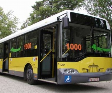 Hybrydowy autobus w Poznaniu