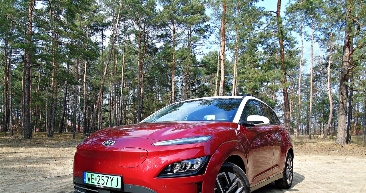 Hyundai Kona electric /INTERIA.PL