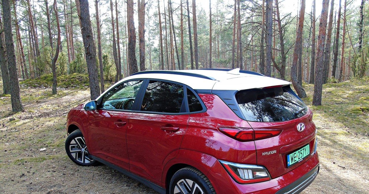 Hyundai Kona electric /INTERIA.PL