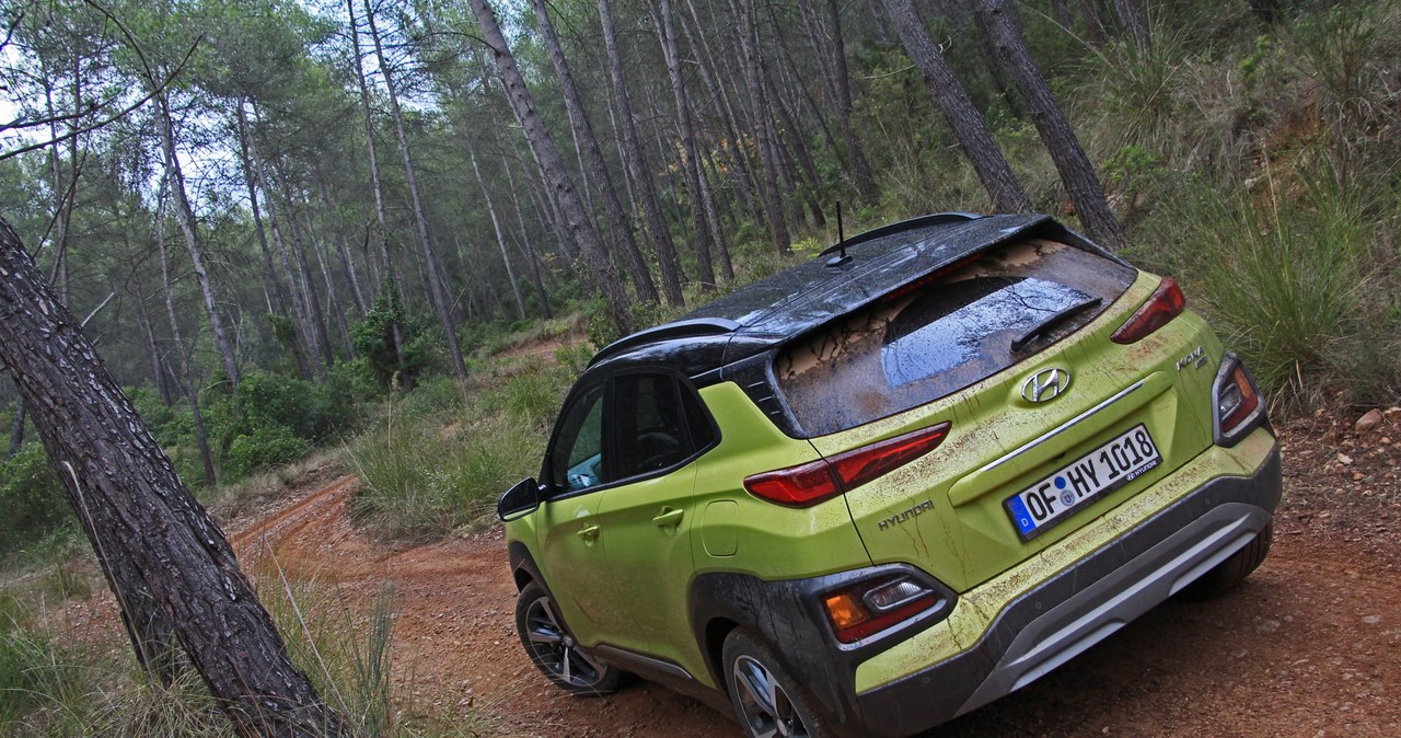 Hyundai Kona /INTERIA.PL