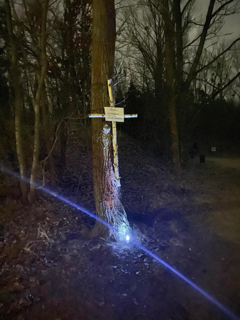 I Gostynińska Nocna Droga Krzyżowa /Ks. Arkadiusz Ronowicz /
