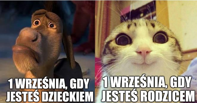 I wszystko jasne /INTERIA.PL