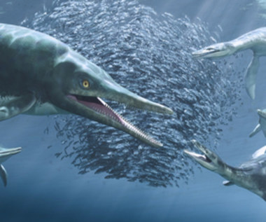 Ichtiozaury: Osiągały takie rozmiary, że zagrażają pozycji wielorybów