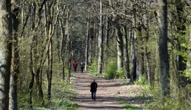 Idealna dla biegaczy, rowerzystów i narciarzy biegowych. Wiele tras niecałe 30 minut od Krakowa