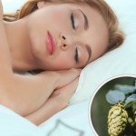 Idealna herbata na wieczór. Naturalnie wycisza i ułatwia zasypianie