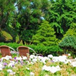 Idealne dla zapominalskich i zabieganych. Te rośliny ogrodowe pielęgnują się "same"