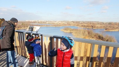 Idealne miejsce na weekend w Poznaniu. Wieża widokowa jedną z największych atrakcji