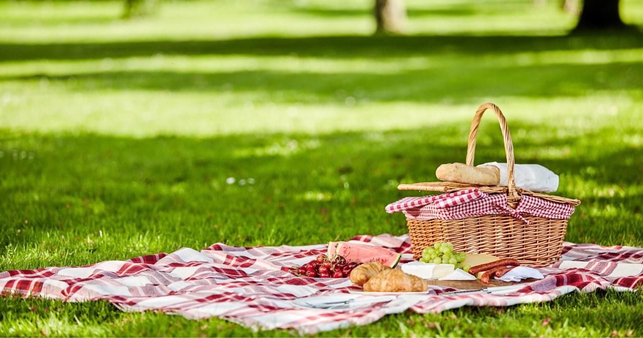 Idealny koc na piknik i nie tylko w Pepco! /adobestock /INTERIA.PL