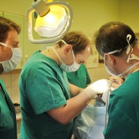  Nowatorski zabieg przeszczepu kości szczęki wykonali lekarze z poradni chirurgii stomatologicznej i implantologii szpitala im. Wojskowej Akademii Medycznej w Łodzi