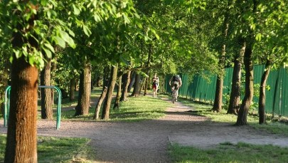 Idź do parku. Poczujesz się jak w Święta