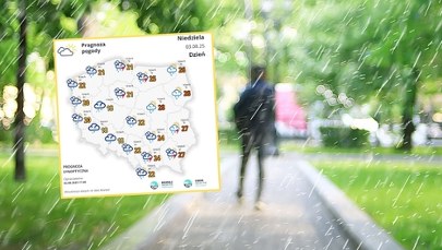 Idzie pogoda "pod psem". Zrobi się chłodno i deszczowo