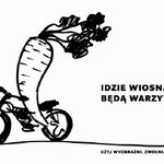 Idzie wiosna, ale bez warzyw!