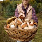 Idziesz na grzyby? O tym musisz pamiętać