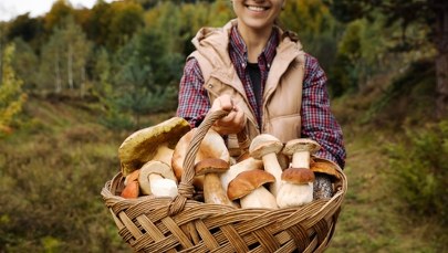 Idziesz na grzyby? O tym musisz pamiętać