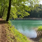 Idziesz w góry w upalny dzień? Ten zacieniony szlak przyniesie ci wytchnienie