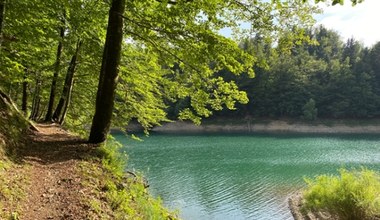 Idziesz w góry w upalny dzień? Ten zacieniony szlak przyniesie ci wytchnienie