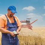 IERiGŻ: W 2012 r. spadły dochody rolników