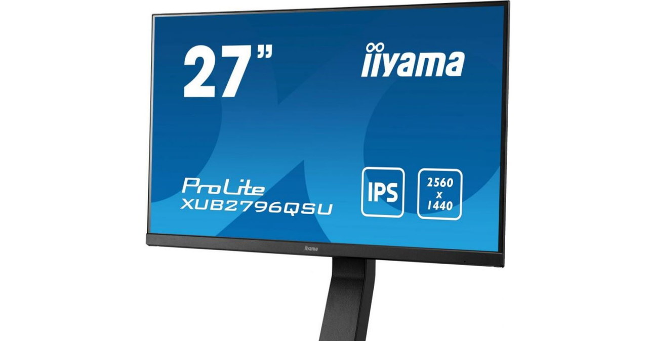 iiyama /materiały prasowe