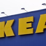 IKEA oskarżona o wycinanie kilkusetletnich drzew