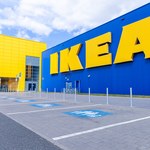 IKEA wstrzymuje działalność w Rosji i Białorusi