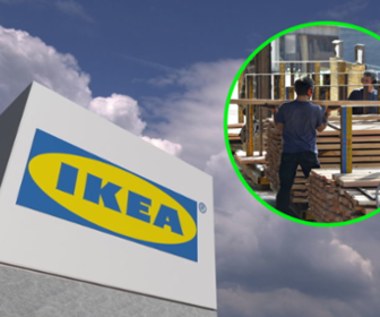 Ikea zamknie swoje fabryki w Polsce? Koszty produkcji wzrosną "o kilkadziesiąt procent"