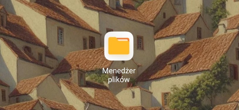 Ikona Menedżera, w którym znajdziemy pobrane przez na telefon pliki. /zrzut ekranu/Xiaomi/ /materiał zewnętrzny
