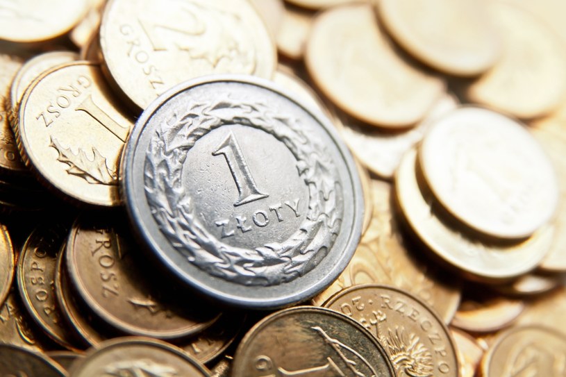 Ila zapłacimy za euro, dolara i franka? /123RF/PICSEL