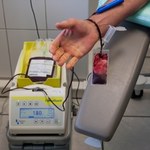 Ile dni wolnego należy się za oddanie krwi? Pracodawca nie może odmówić 