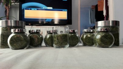 Ile igieł ma choinka od RMF FM? Nasz słuchacz już policzył!