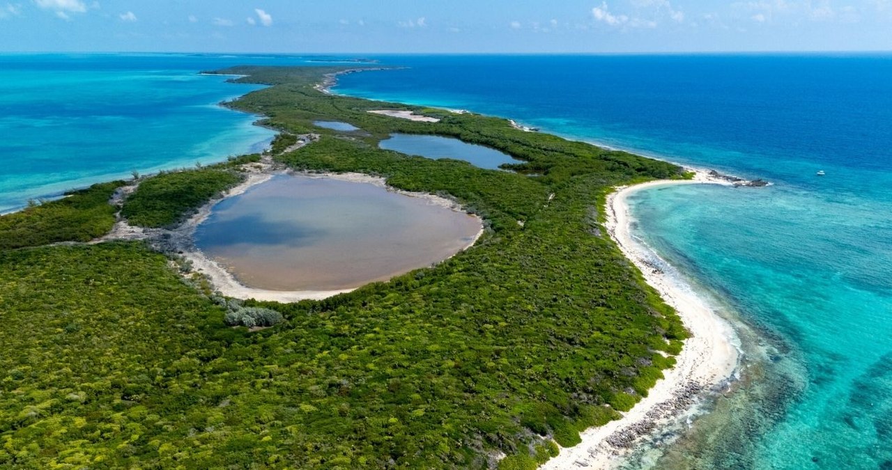 Ile istnieje prywatnych wysp na świecie i czy każdy może je kupić? /Jam Press /East News