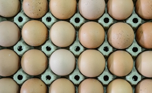Ile jaj rocznie zjadamy? Branża drobiarska kwestionuje dane GUS-u