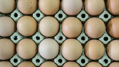 Ile jaj rocznie zjadamy? Branża drobiarska kwestionuje dane GUS-u