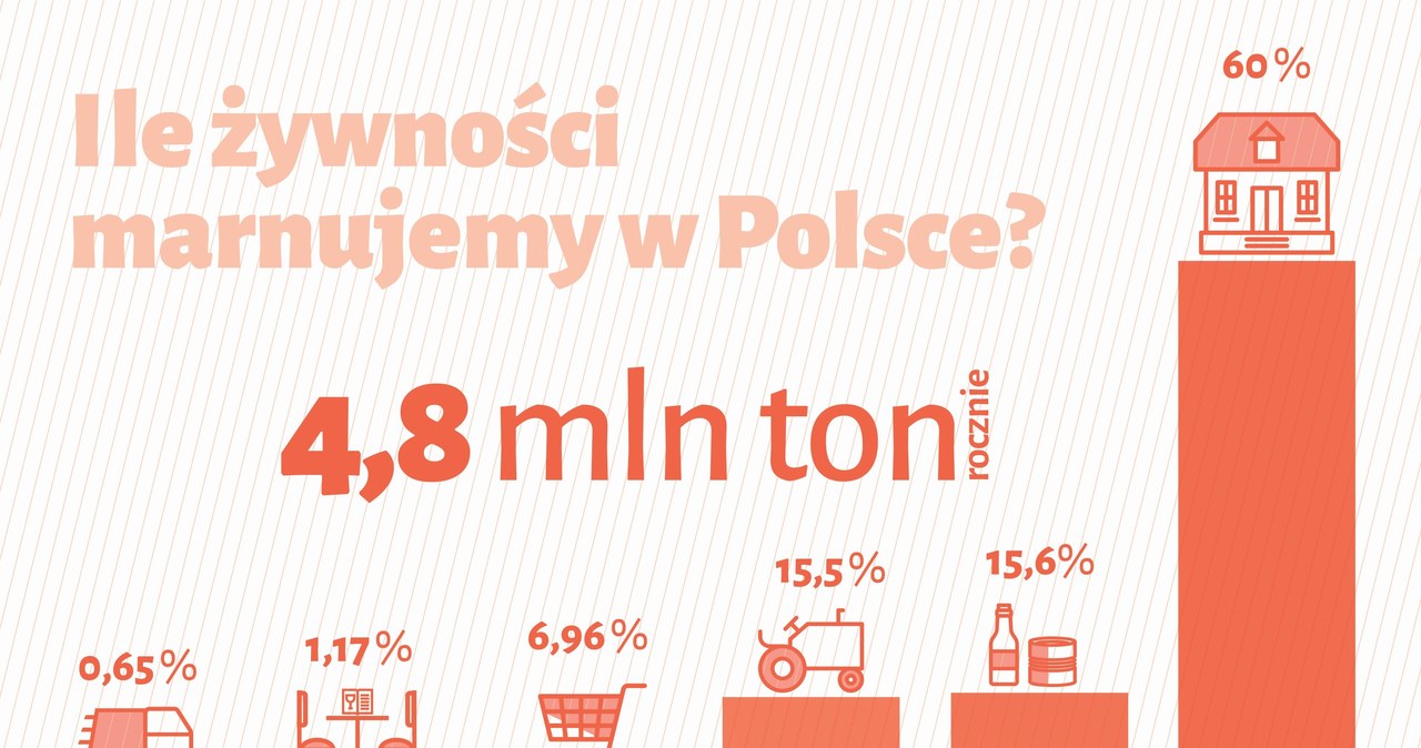Ile jedzenia marnują Polacy? Najwięcej żywności wyrzuca się w polskich domach. /IOŚ-PIB/SGGW /materiał zewnętrzny