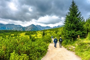 Ile jest parków narodowych w Polsce? Który największy, który najstarszy