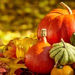 Ile jest rodzajów dyni i która odmiana jest najlepsza na Halloween?