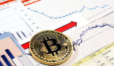 Ile kosztował bitcoin 10 lat temu? Inwestycja dla ludzi o stalowych nerwach 