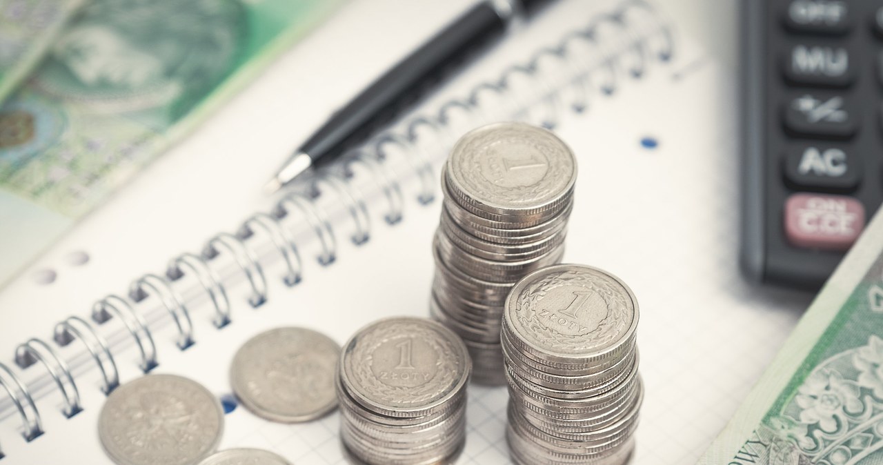 Ile kosztują dolar, euro i frank w czwartek 24 lipca? Zdj. ilustracyjne /123RF/PICSEL