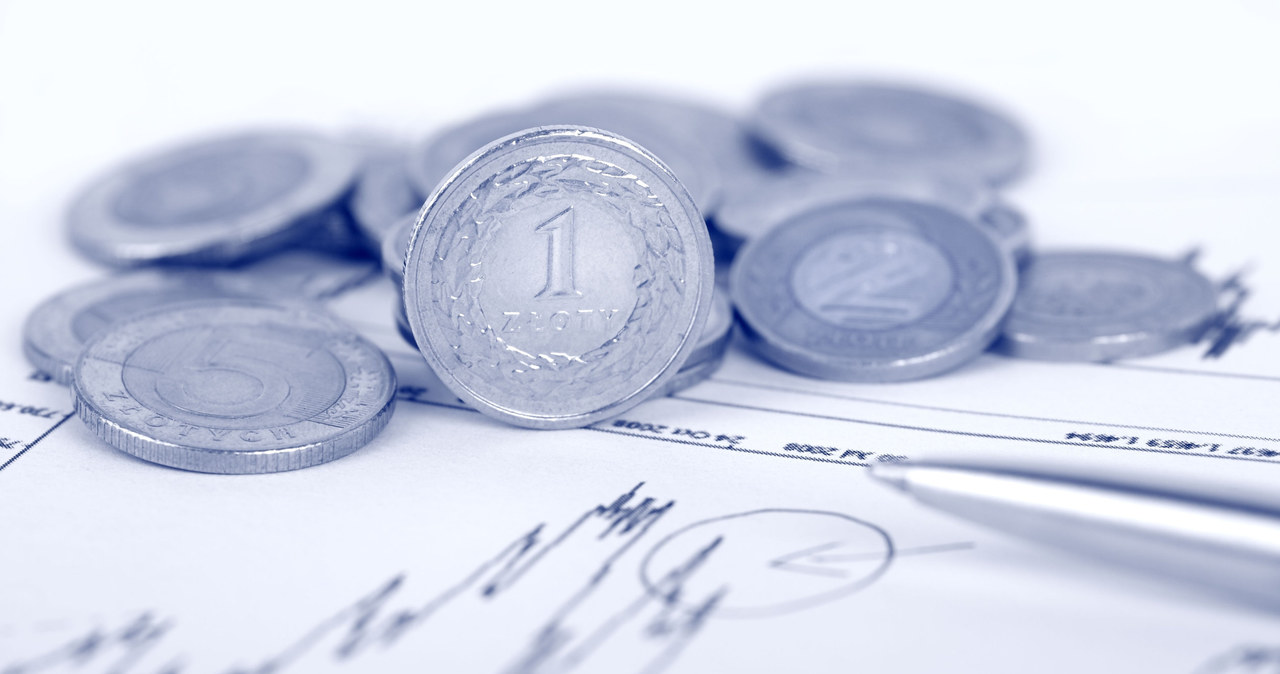 Ile kosztują dolar, euro i frank? Zdj. ilustracyjne /123RF/PICSEL