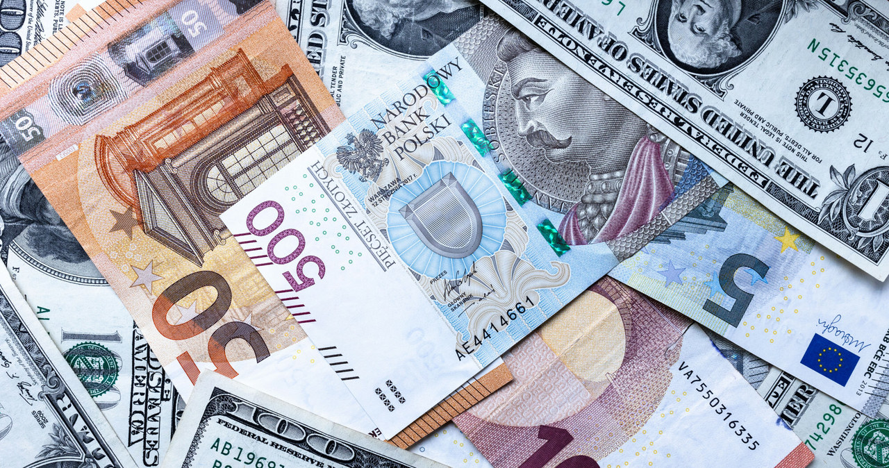 Ile kosztują euro, dolar i frank szwajcarski w poniedziałek 14 sierpnia? /Karol Porwich/East News /East News