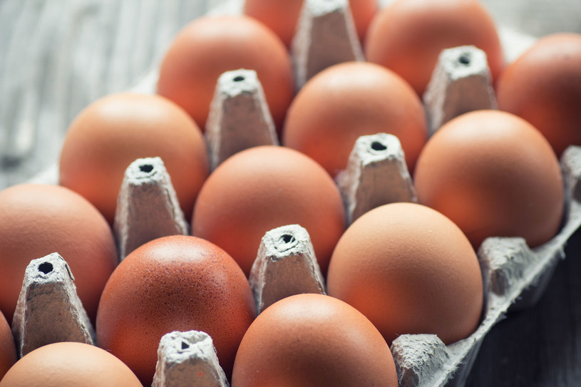 Ile kosztują jaja? Rok do roku w Polsce podrożały o ponad 45 proc. Na cenowy szok narzekają mieszkańcy Czech, gdzie ceny jaj wzrosły o 85 proc. /123rf /123RF/PICSEL