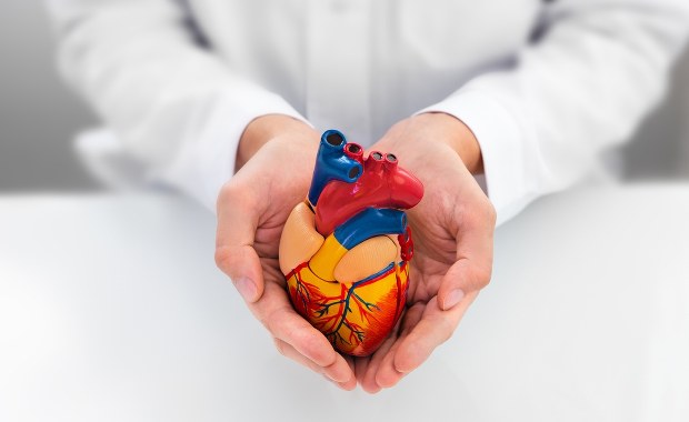 Ile kosztują nas choroby serca?