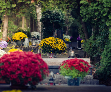 Ile kosztują w tym roku kwiaty na cmentarz? Nie mamy dobrych wieści