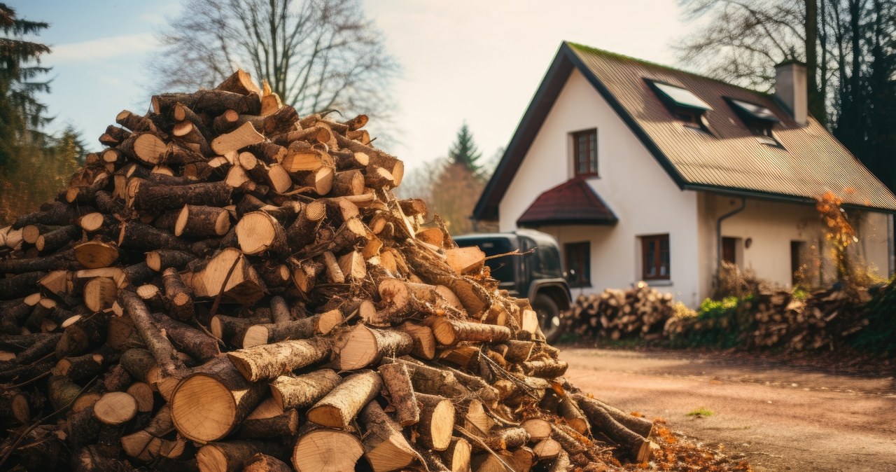 Ile kosztuje drewno opałowe? Ceny kubika są różne w zależności od gatunku. /123RF/PICSEL